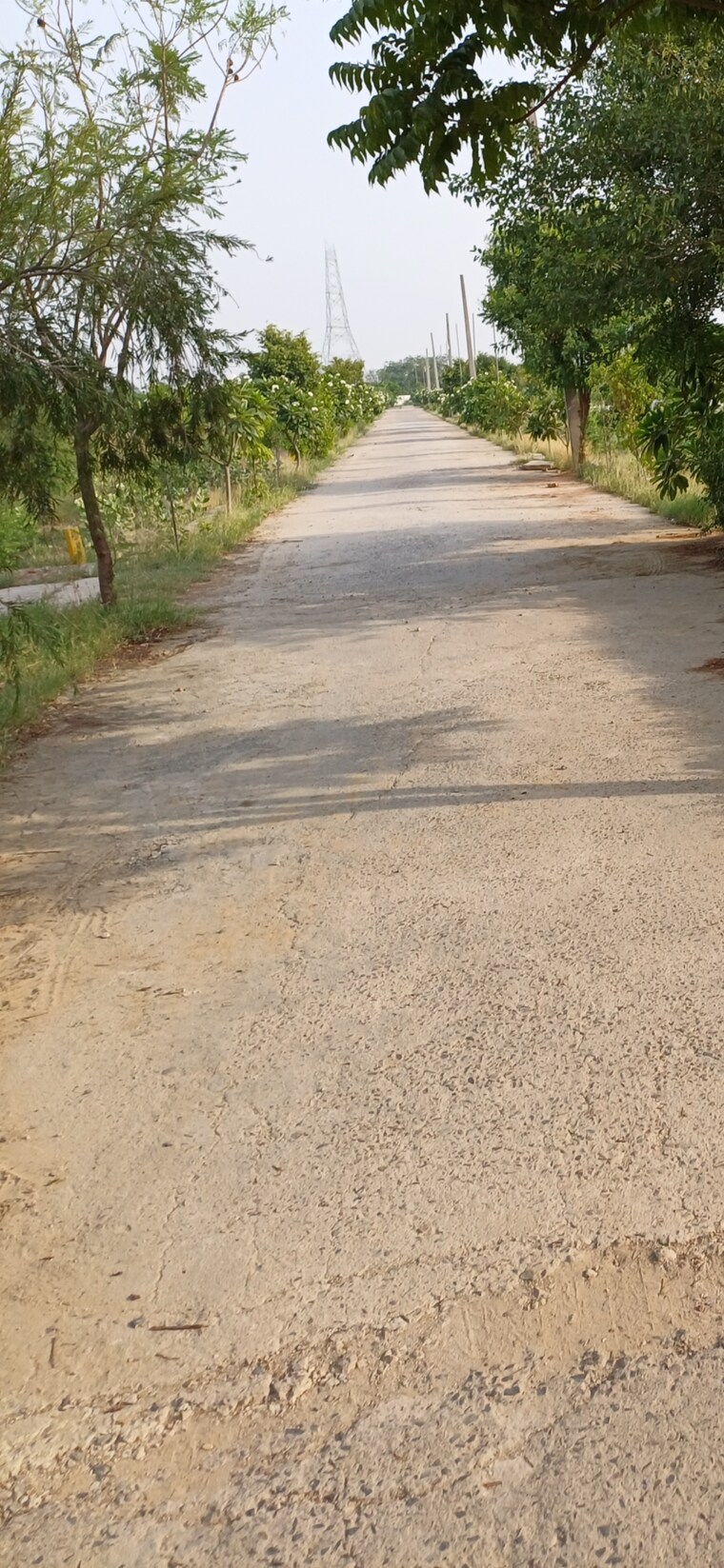 undefined, jewar  198 Sq.Yd. Plot In Jewar Greater Noida 8824794