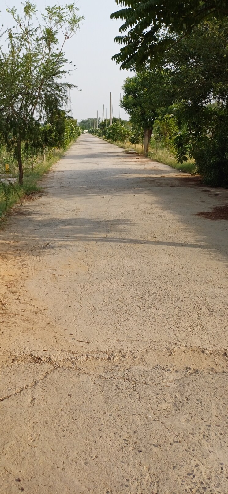 Exterior View, jewar  199 Sq.Yd. Plot In Jewar Greater Noida 8824825