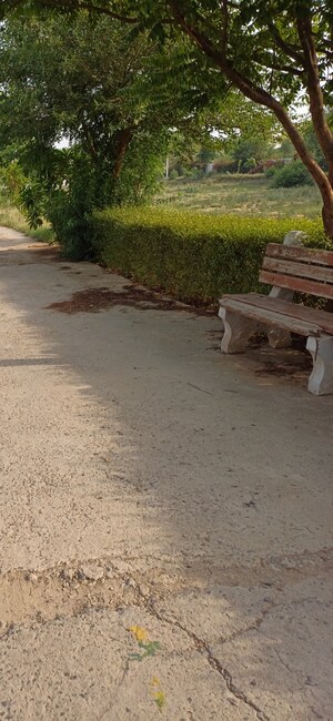 Plot Area in  Plot at Jewar – for Sale