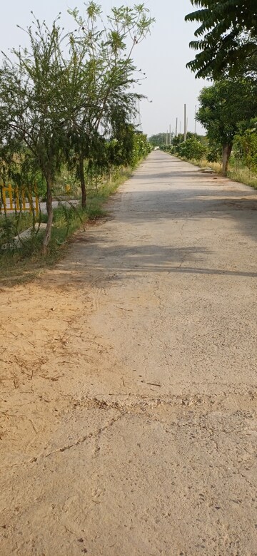 Plot Area in  Plot at Jewar – for Sale