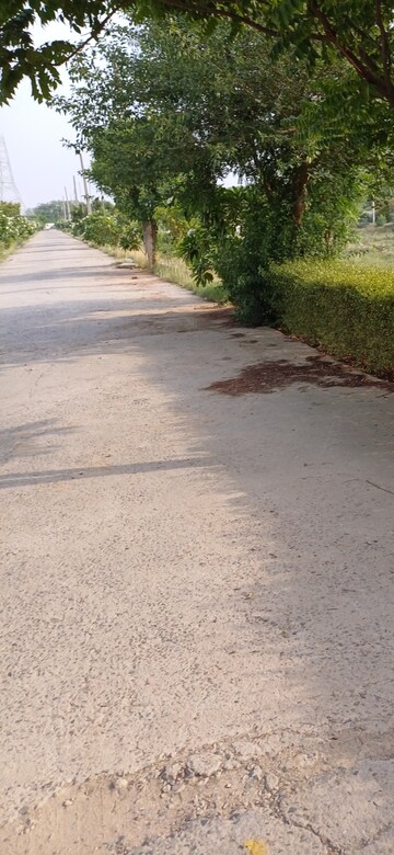 Plot Area in  Plot at Jewar – for Sale