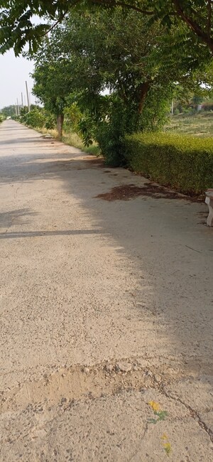 Plot Area in  Plot at Jewar – for Sale