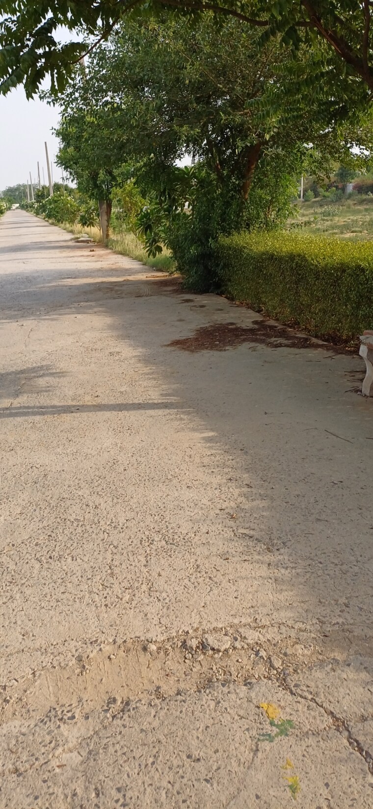 undefined, jewar  200 Sq.Yd. Plot In Jewar Greater Noida 8824950