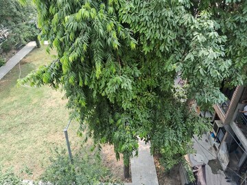 1 BHK Apartment – Garden View at Sector 22 - for Rent
