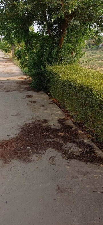 Plot Area in  Plot at Jewar – for Sale