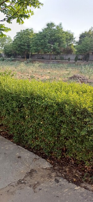  Plot – Garden View at Jewar - for Sale