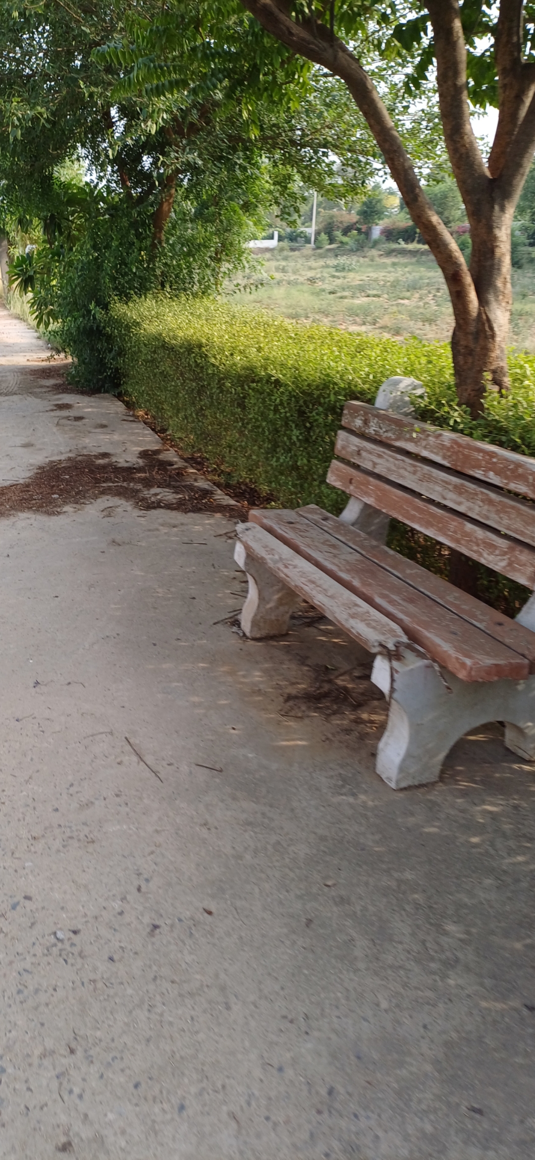 Plot For Sale in Harit City 