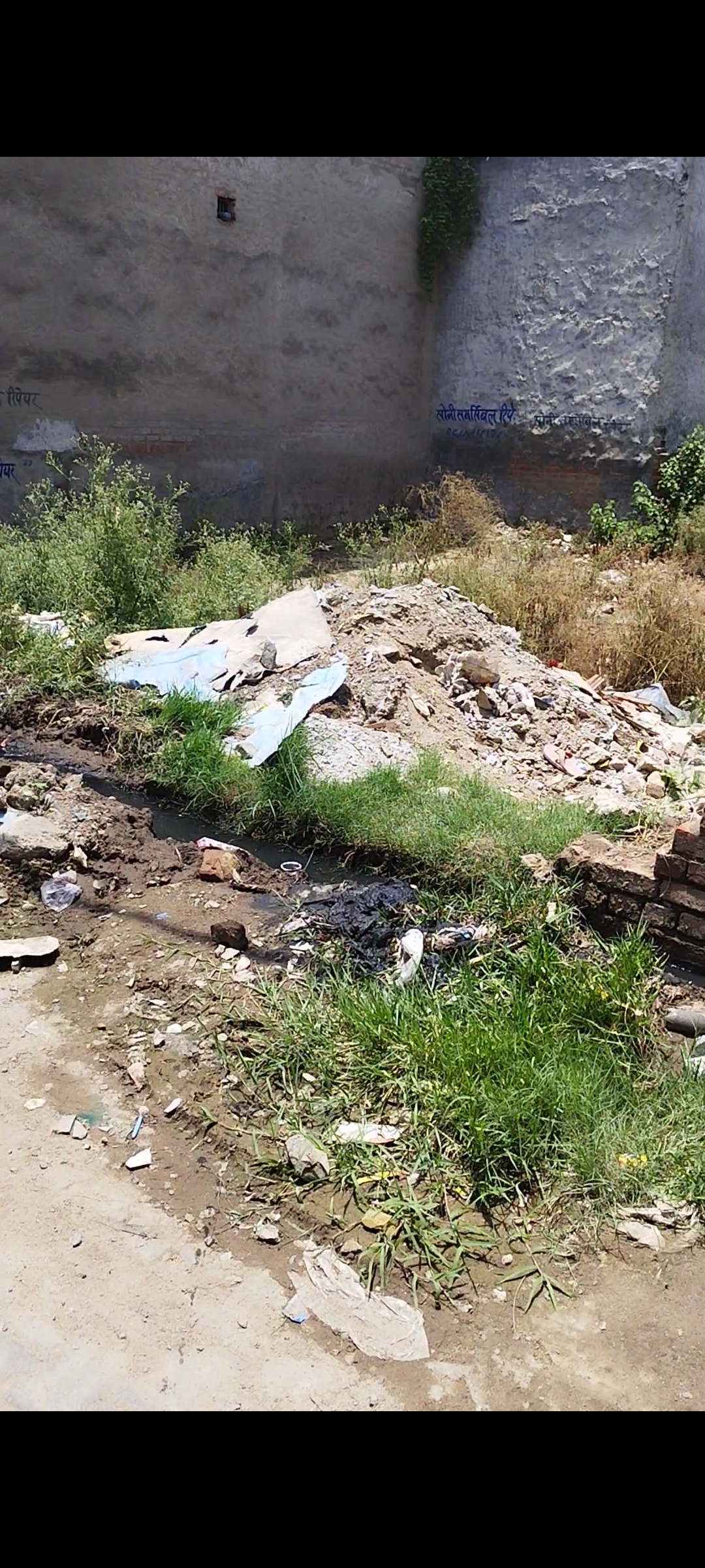 Plot For Sale in Lohiya Vihar Raj Nagar ex