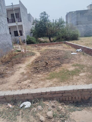 Plot Area in  Plot at Sector 115 – for Sale