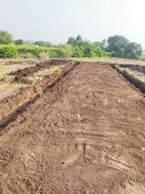 Plot Area in  Plot at Pimpalgaon Bahula – for Sale