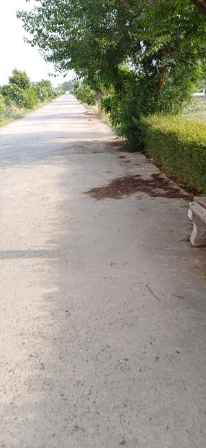 Plot Area in  Plot at Jewar – for Sale