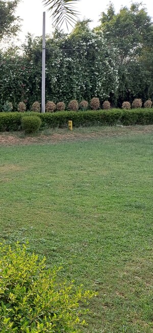  Plot For Sale in Jewar