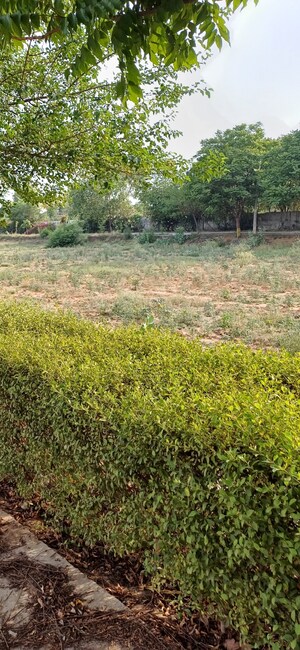 Plot Area in  Plot at Jewar – for Sale