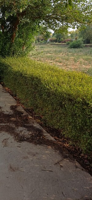 Plot Area in  Plot at Jewar – for Sale