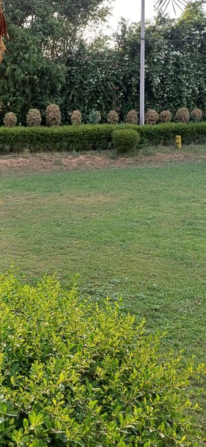  Plot For Sale in Jewar