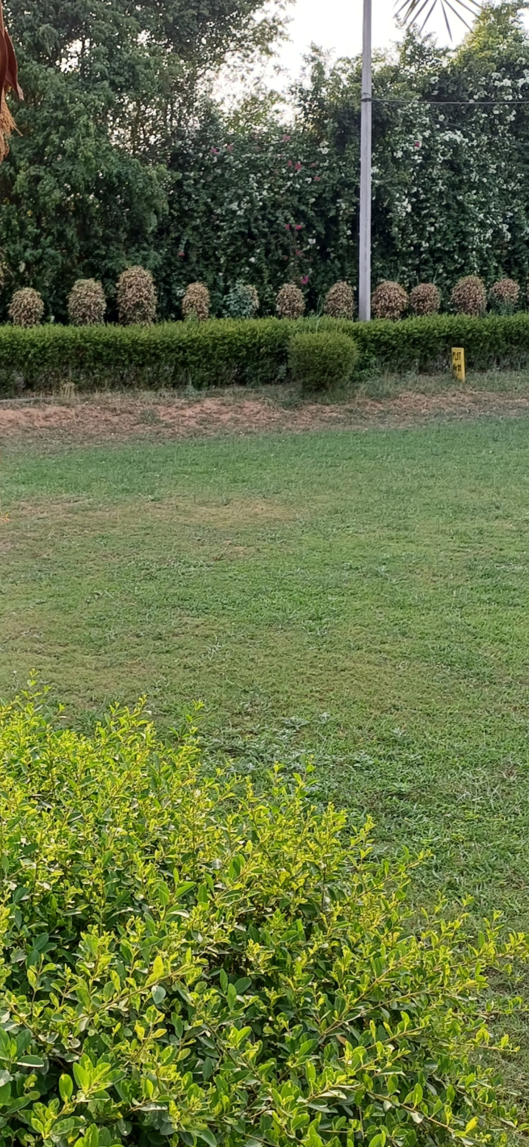 Plot For Sale in Harit City 