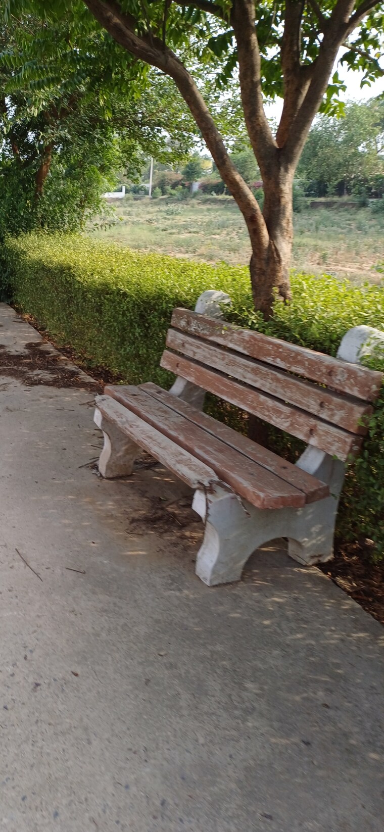 Exterior View, jewar  203 Sq.Yd. Plot In Jewar Greater Noida 8826377