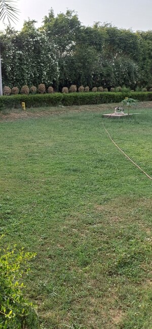  Plot For Sale in Jewar