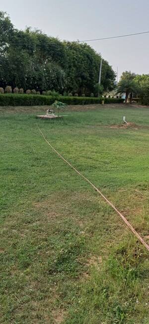 Plot Area in  Plot at Jewar – for Sale