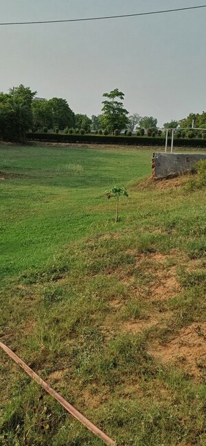 Plot Area in  Plot at Jewar – for Sale