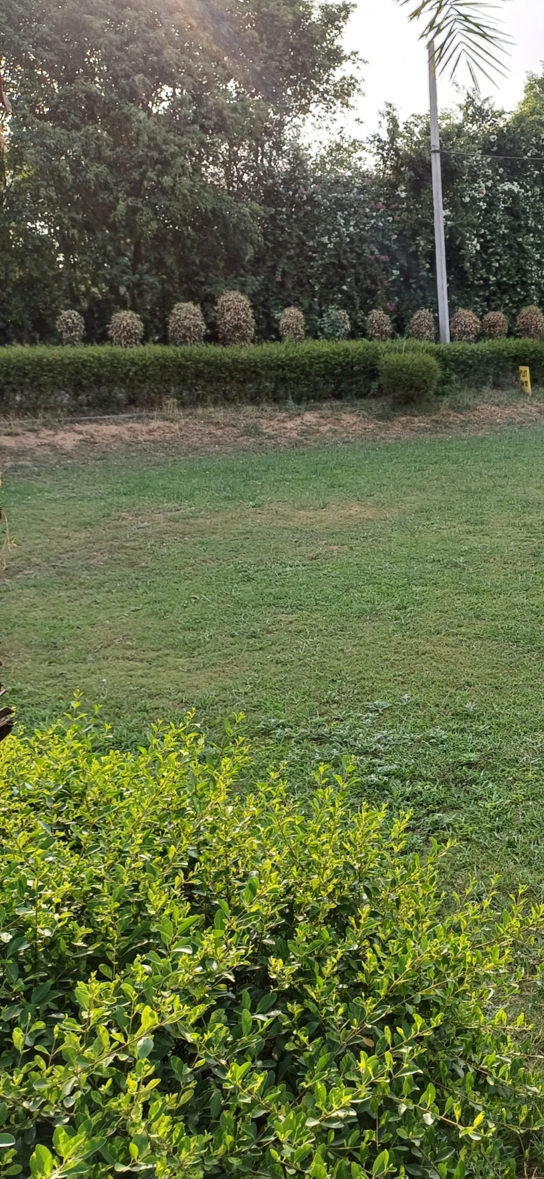 Plot For Sale in Harit City 