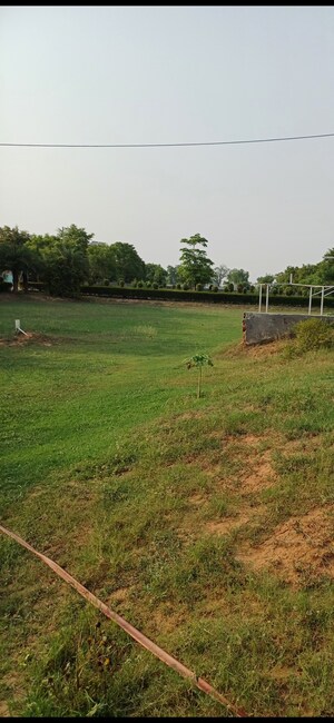Plot Area in  Plot at Jewar – for Sale