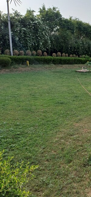 Plot Area in  Plot at Jewar – for Sale