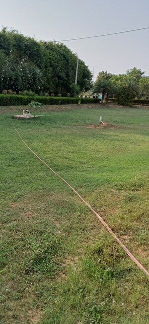  Plot For Sale in Jewar