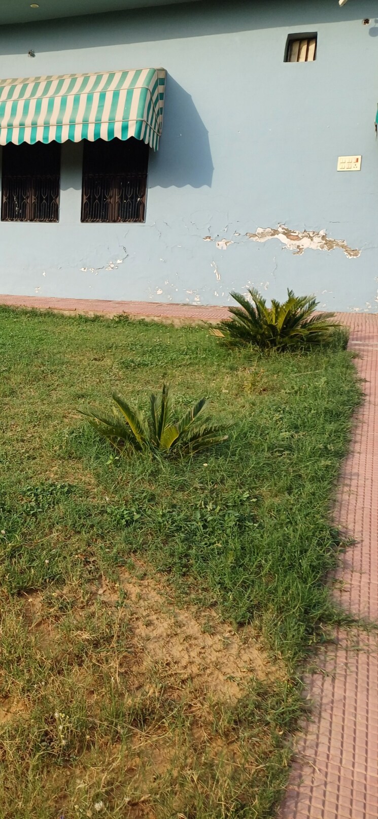 undefined, jewar  206 Sq.Yd. Plot In Jewar Greater Noida 8826401