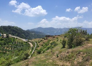 Plot Area in  Plot at Kufri – for Sale