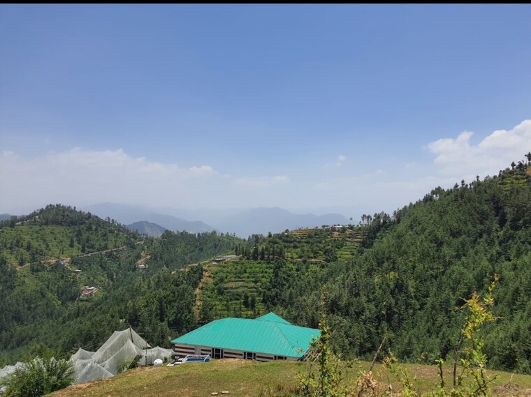 Other, kufri  36000 Sq.Ft. Plot In Kufri Shimla 8826457