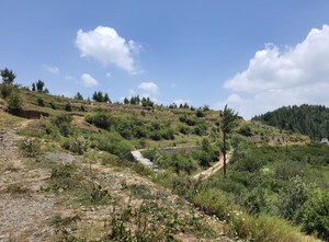  Plot For Sale in Kufri