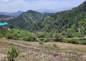 Plot Area in  Plot at Kufri – for Sale