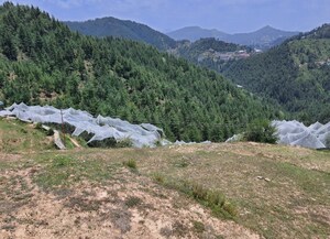  Plot – Exterior View View at Kufri - for Sale