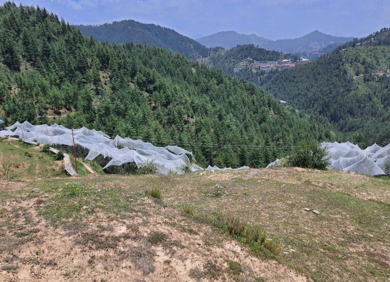 Exterior View, kufri  36000 Sq.Ft. Plot In Kufri Shimla 8826457