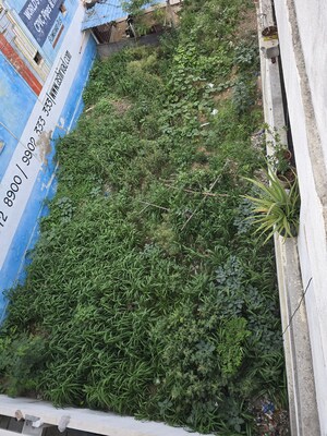  Plot – Exterior View View at Thimmapur - for Sale