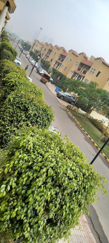 4 BHK Builder Floor – Garden View at Emaar MGF Emerald Hills, Sector 65 - for Rent
