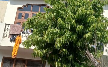 3 BHK Independent House For Sale in Gamma I Greater Noida