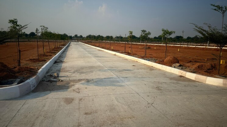 undefined, shadnagar  183 Sq.Yd. Plot In Shadnagar Hyderabad 8826841