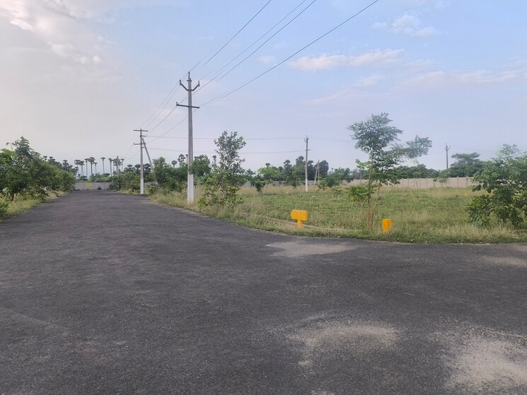 undefined, bhogapuram  267 Sq.Yd. Plot In Bhogapuram Vizag 8826986