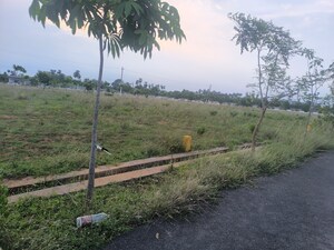 Plot Area in  Plot at Bhogapuram – for Sale
