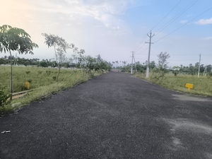 Plot Area in  Plot at Bhogapuram – for Sale