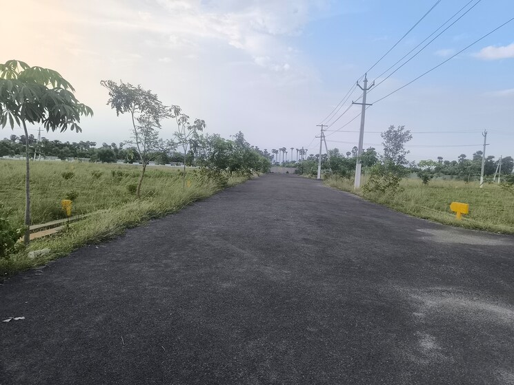 undefined, bhogapuram  267 Sq.Yd. Plot In Bhogapuram Vizag 8826986
