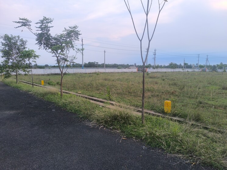undefined, bhogapuram  267 Sq.Yd. Plot In Bhogapuram Vizag 8826986