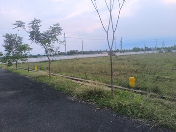 Plot Area in  Plot at Bhogapuram – for Sale