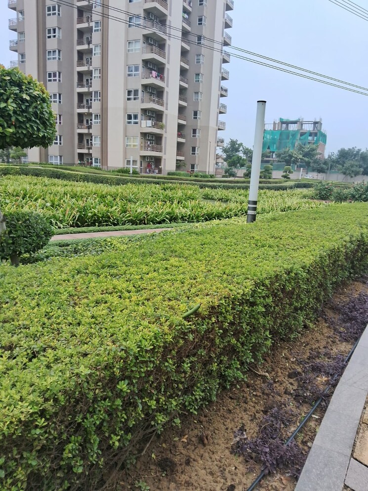 Garden, adani-m2k-oyster-grande 3 Bedroom 1889 Sq.Ft. Apartment In Sector 102 Gurgaon 8827144
