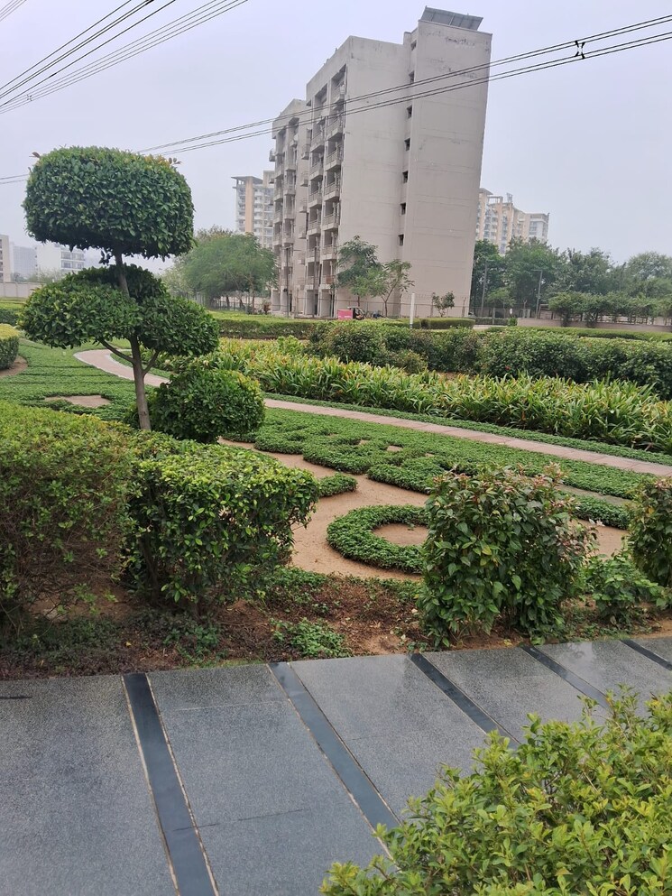 Garden, adani-m2k-oyster-grande 3 Bedroom 1889 Sq.Ft. Apartment In Sector 102 Gurgaon 8827144