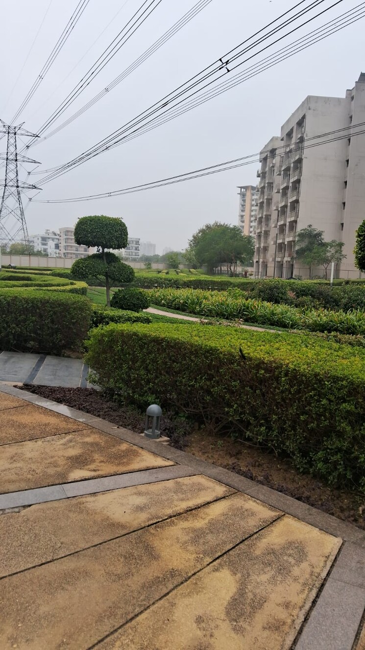 Garden, adani-m2k-oyster-grande 4 Bedroom 3198 Sq.Ft. Apartment In Sector 102 Gurgaon 8827327