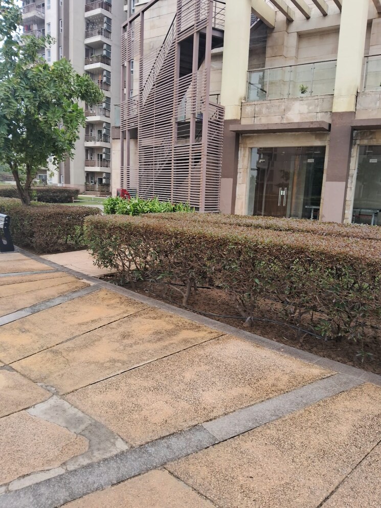 Exterior View, adani-m2k-oyster-grande 4 Bedroom 3198 Sq.Ft. Apartment In Sector 102 Gurgaon 8827327