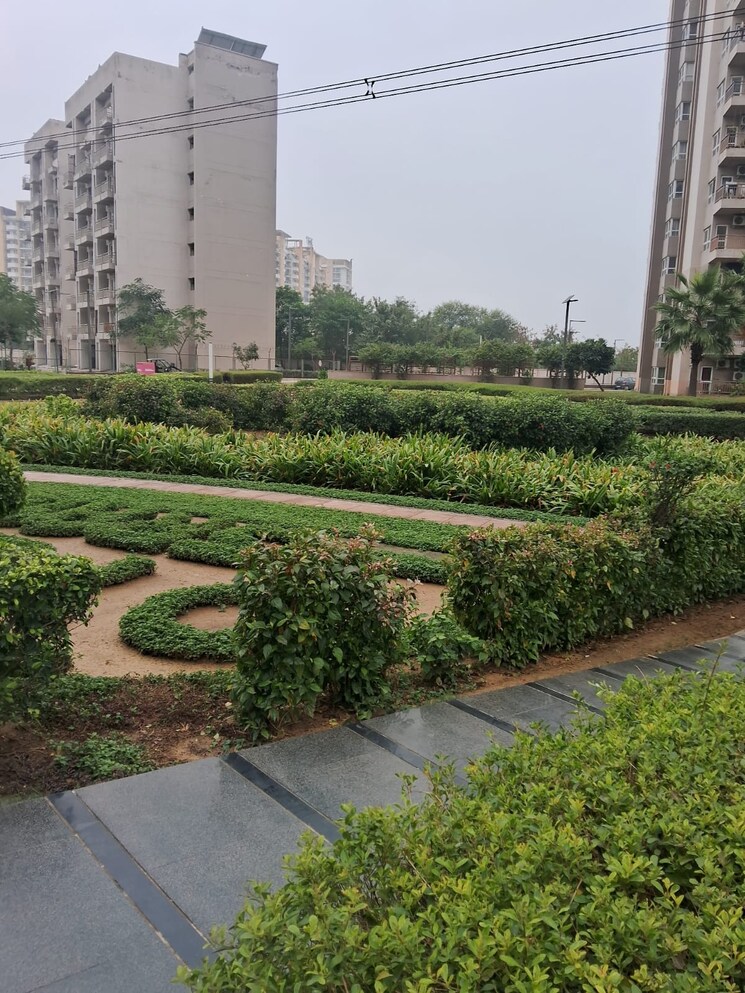 Garden, adani-m2k-oyster-grande 3 Bedroom 1889 Sq.Ft. Apartment In Sector 102 Gurgaon 8827363